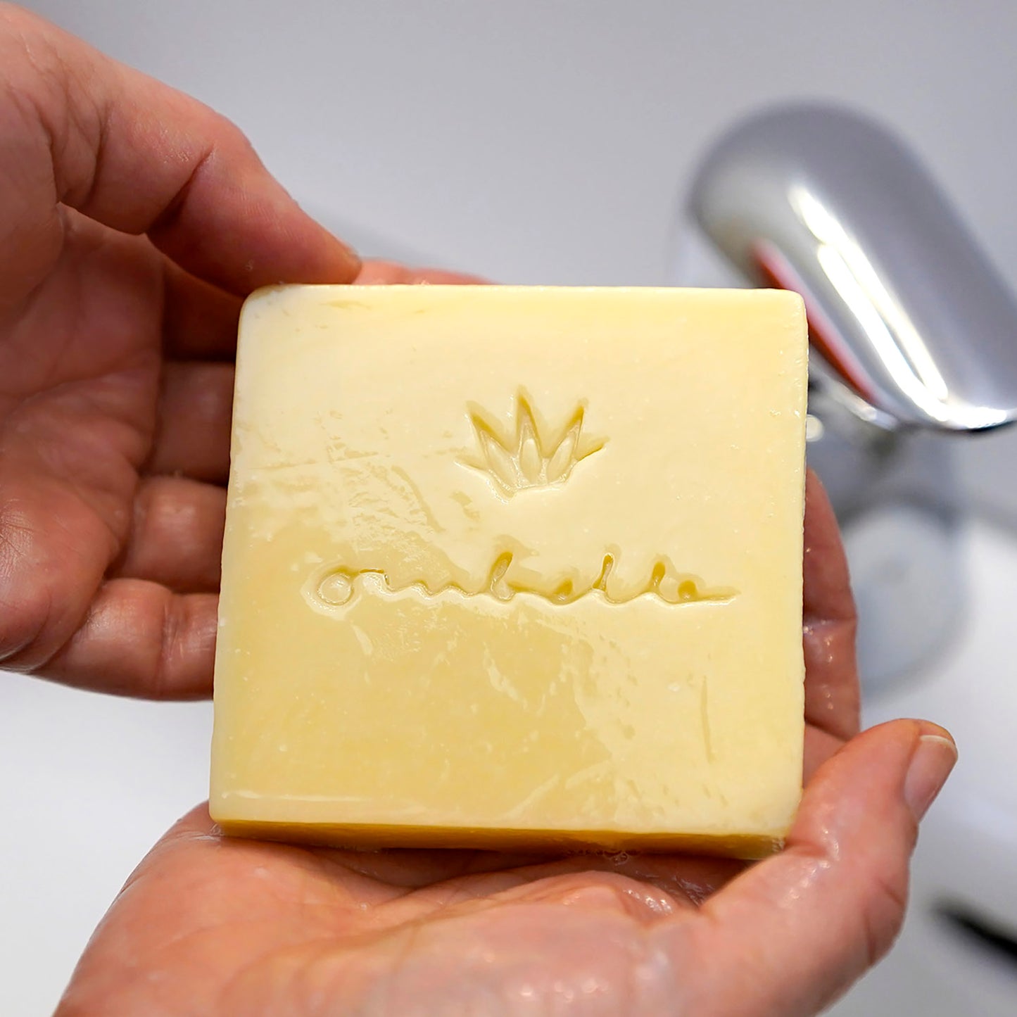 Ombelle Naturseife La Parisienne mit Fair Trade Bio-Sheabutter, kaltgesiedet. in nassen Händen