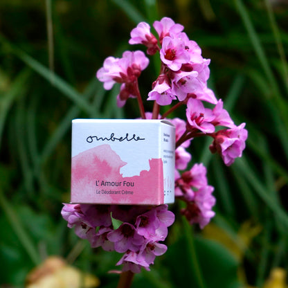 Ombelle L’Amour Fou 35g Bio Deocreme im Faltschachel auf Blume fotografiert.