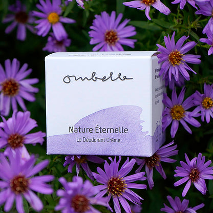 Ombelle Nature Éternelle 35g Bio Deocreme im Glastiegel mit Metalldeckel Shea Butter unraffiniert Fair Trade ohne Aluminiumsalze. Auf lilane Blumen eingebettet